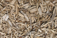 biomass boilers Fratton